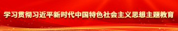 骚杯捅屄学习贯彻习近平新时代中国特色社会主义思想主题教育